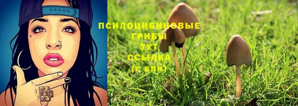 стафф Балахна