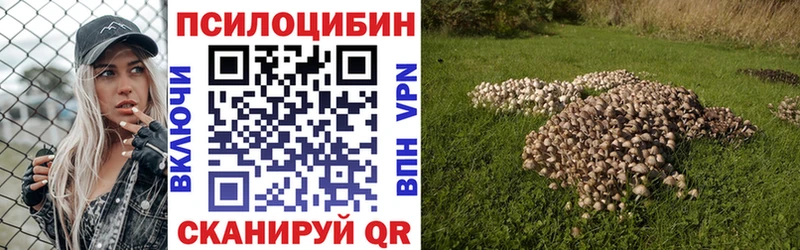 Галлюциногенные грибы GOLDEN TEACHER  Горячий Ключ 
